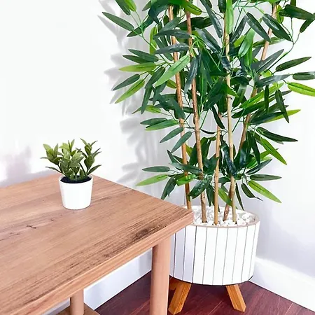 The Pillo Mansion 公寓