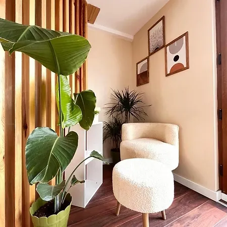 Apartament The Pillo Mansion