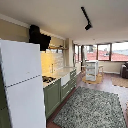 The Pillo Mansion * 伊斯坦布尔