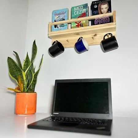 The Pillo Mansion شقة *