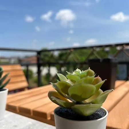 Lägenhet The Pillo Mansion *