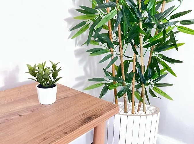 The Pillo Mansion شقة