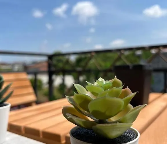 شقة The Pillo Mansion *